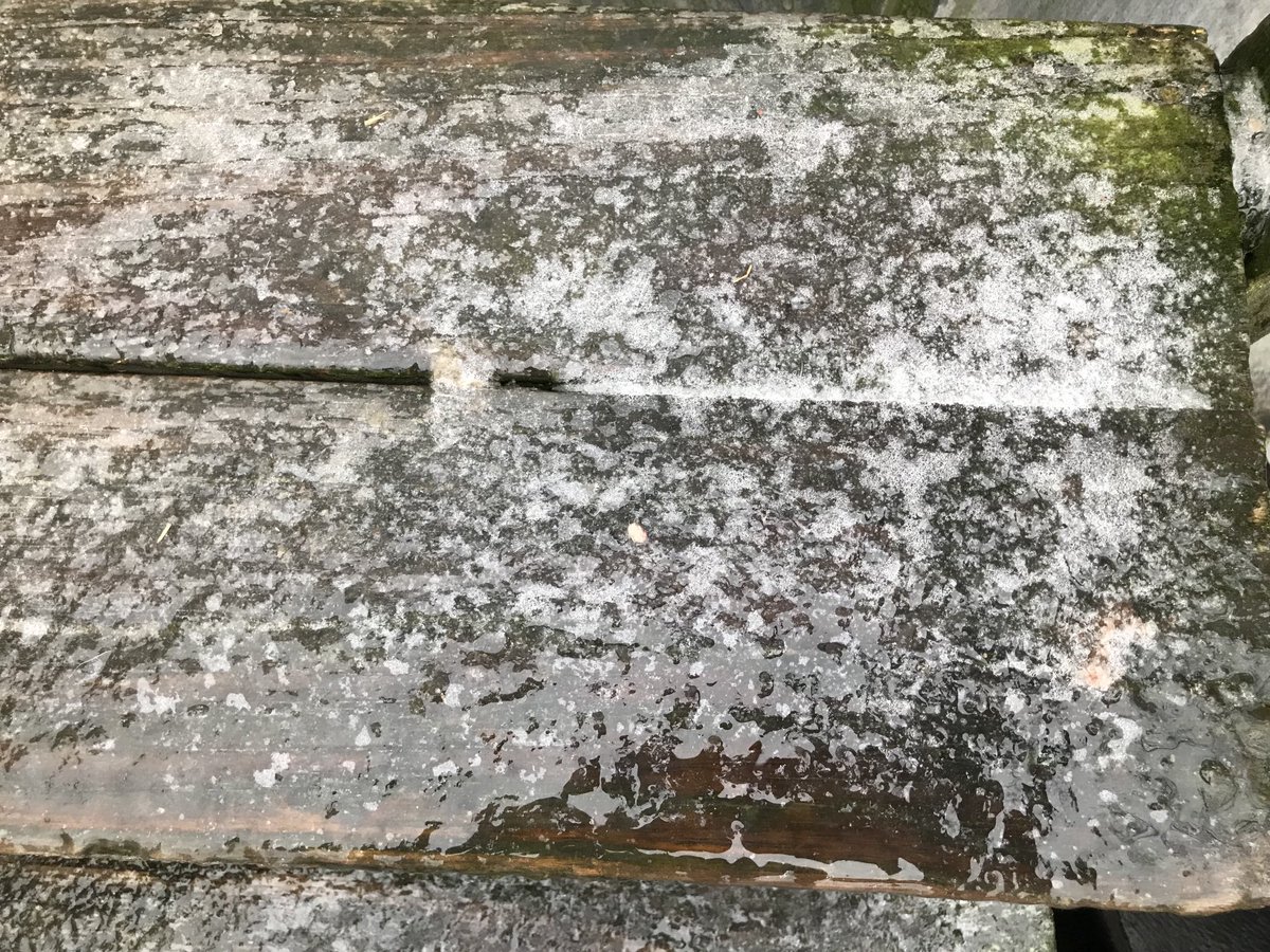 ItsAprilBritt's tweet photo. These were my front steps this morning… lots of ice https://t.co/UqijlNuyI5