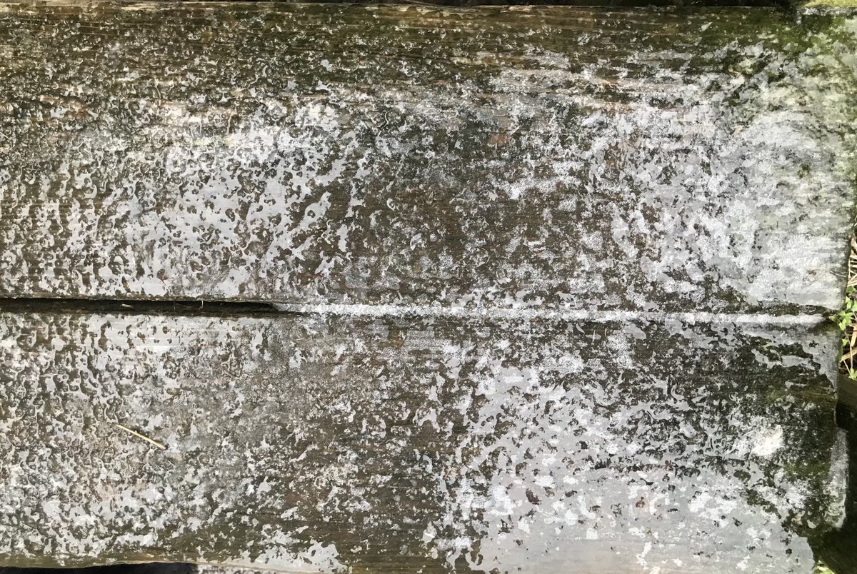 ItsAprilBritt's tweet photo. These were my front steps this morning… lots of ice https://t.co/UqijlNuyI5