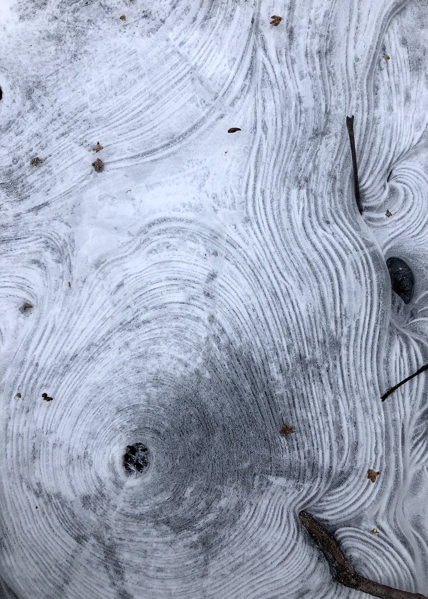 emilyteallart's tweet photo. I am so lucky I get to have #artinspo from ice in the local #woods! #winter #icy #woodswalk #nature #hiking https://t.co/Bmdady3PLL