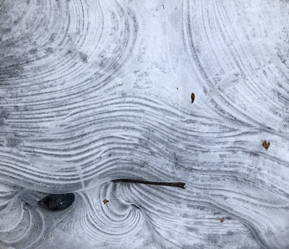 emilyteallart's tweet photo. I am so lucky I get to have #artinspo from ice in the local #woods! #winter #icy #woodswalk #nature #hiking https://t.co/Bmdady3PLL