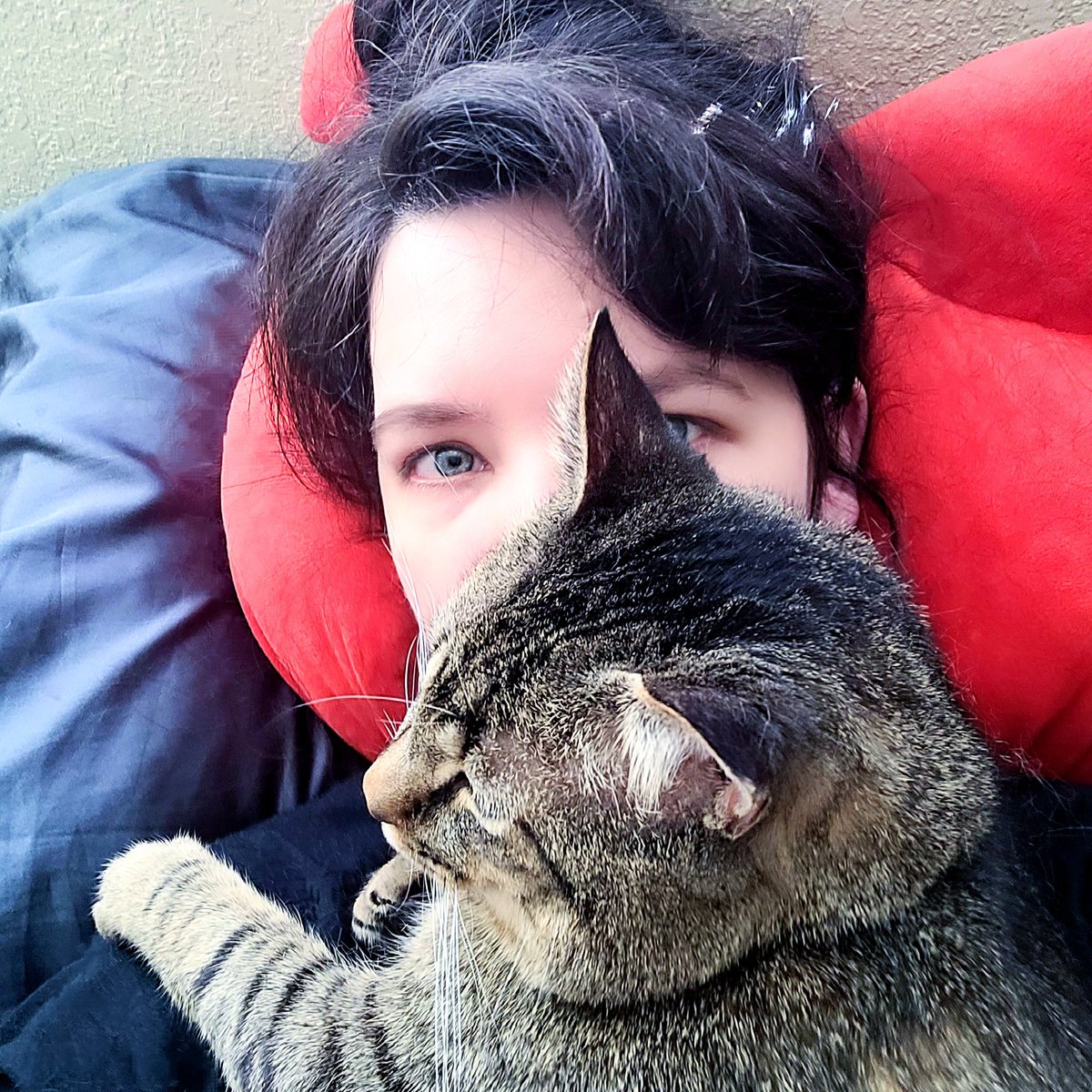 Lord_Fezzik's tweet photo. So sorry for the break! The human wasn't feeling good, then I wasn't feeling good, then the human wasn't feeling good again. We're just hanging out watching movies now. 

#HugYourHuman #CatsOfTwitter https://t.co/06dMGxUM8Y