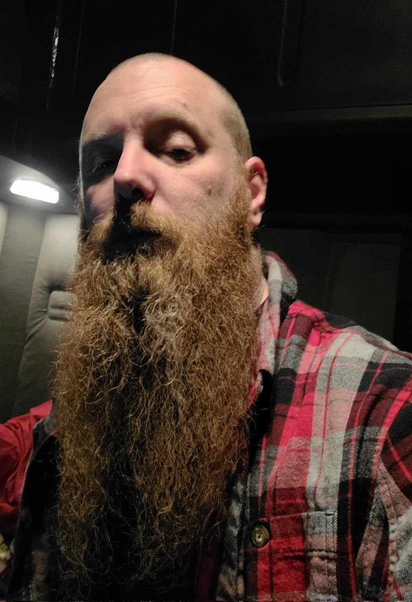 ShookGuy1's tweet photo. Just woke up.
#bedbeard https://t.co/s78zhHX8QV