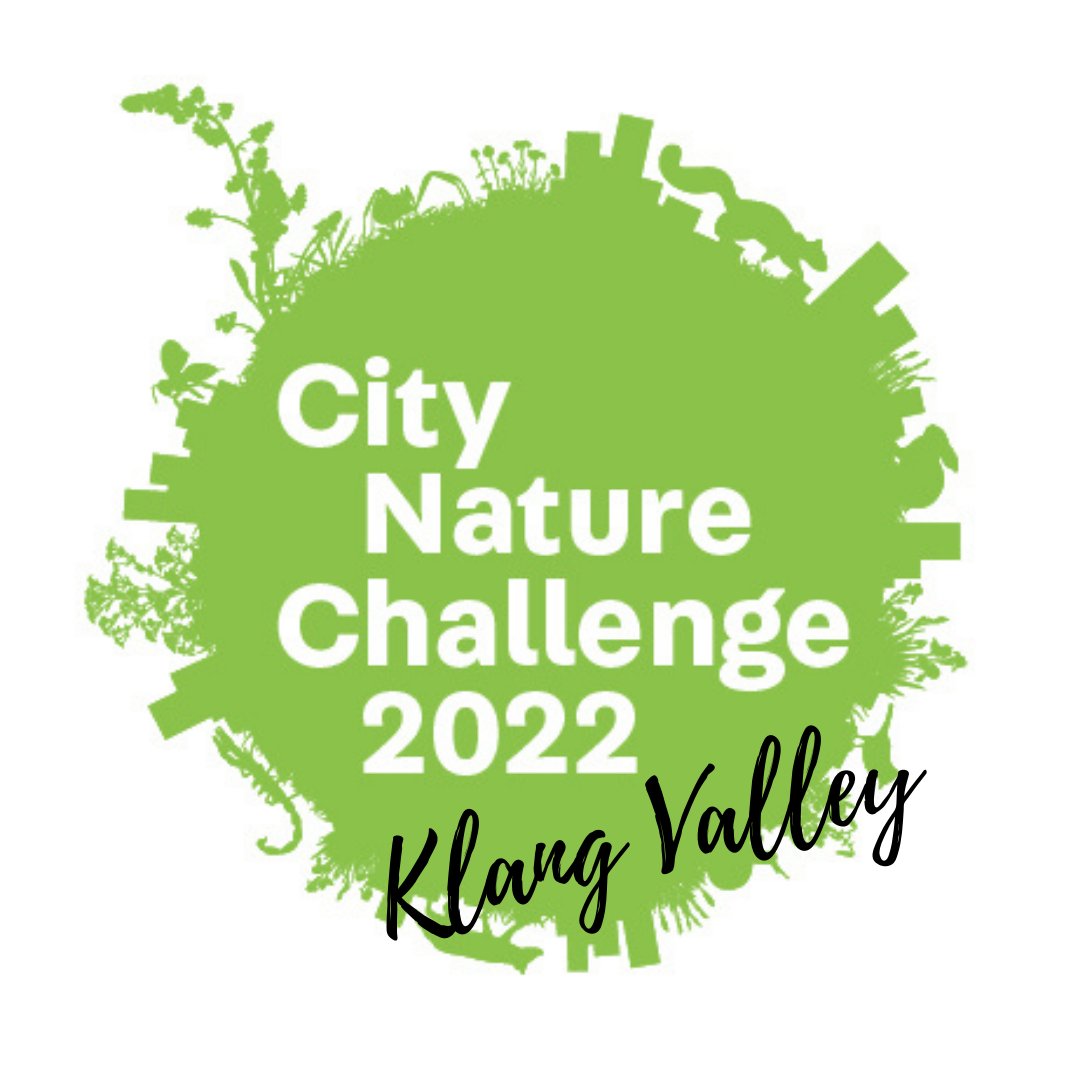 MySekitar's tweet photo. Good news everyone,
City Nature Challenge 2022: Klang Valley is back! One of the biggest citizen science project in documenting urban biodiversity 🦋🐞🍄
It will be happening from 29 April - 2 May 2022. 
Stay tuned 😉
#CNC2022 #citynaturechallenge #CNCKV #sekitarkita https://t.co/qKu9KnM0zg