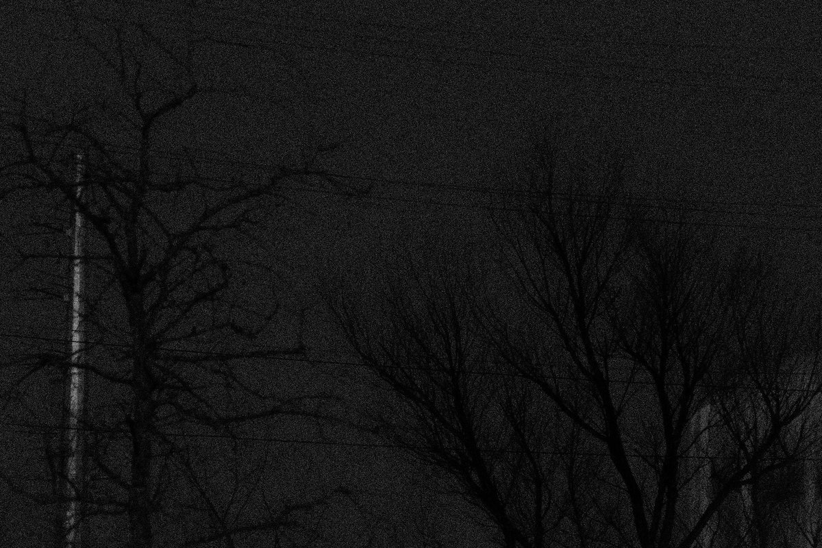 ZoGambless's tweet photo. la luna enamorada https://t.co/RZsuJwb13Q