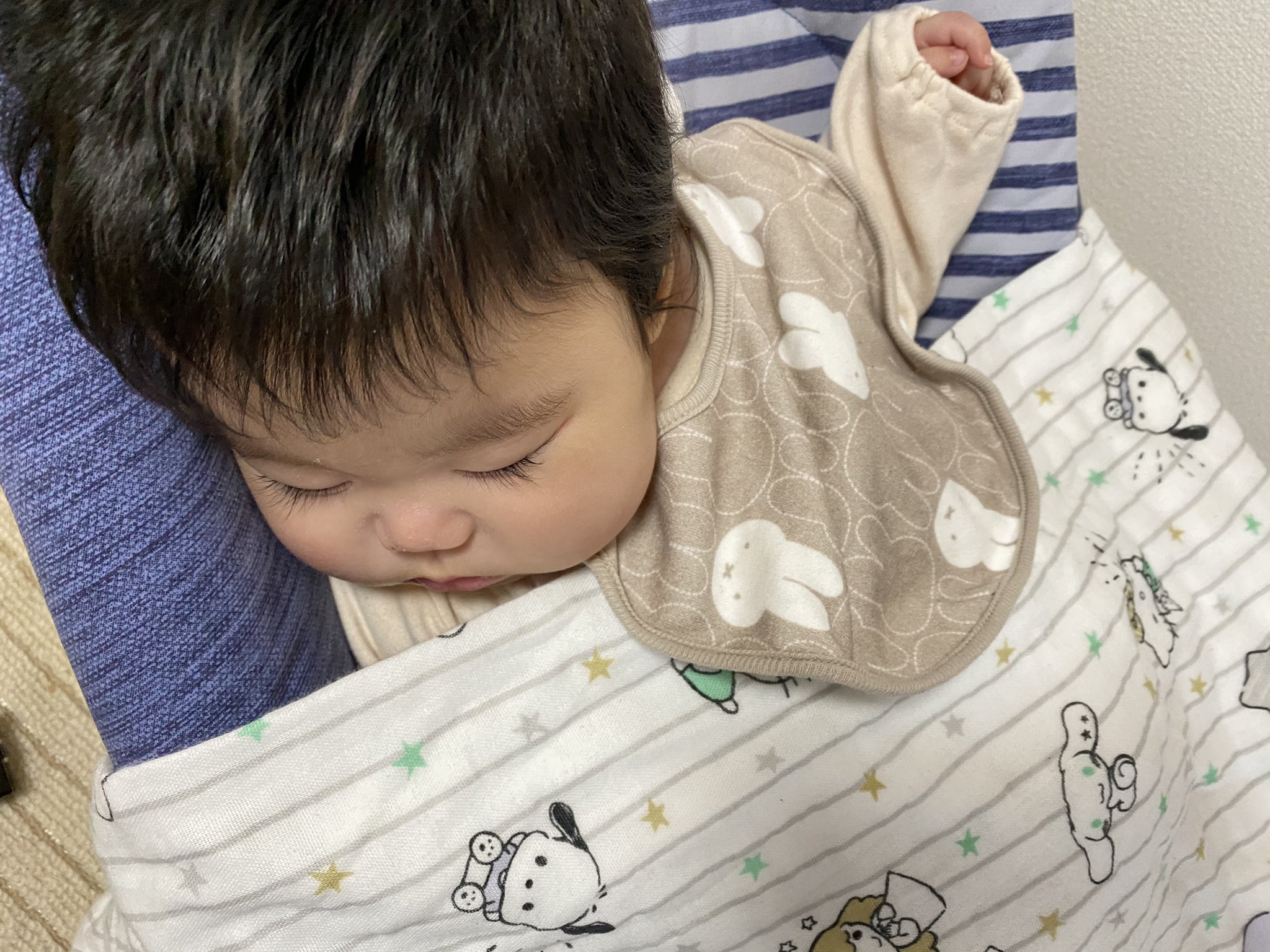 Ayumi Crew S Twitter