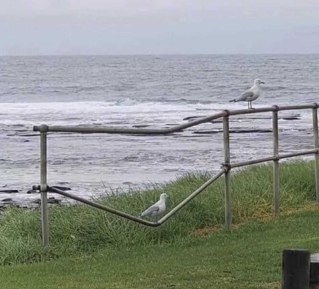 Correlación no implica causalidad.