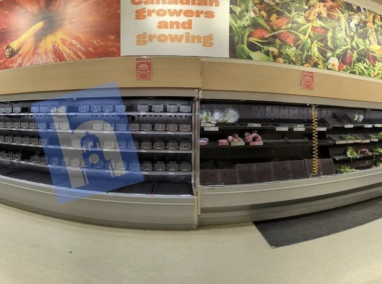 brendandominic2's tweet photo. Empty supermarkets in Halifax ๐จ๐ฆ #trudeausgottogo https://t.co/i24fcMazFr
