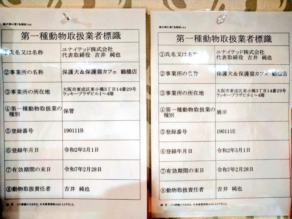 保護猫カフェ鶴橋店 ２階 元保護猫カフェマンチカン Manchituruhashi Twitter