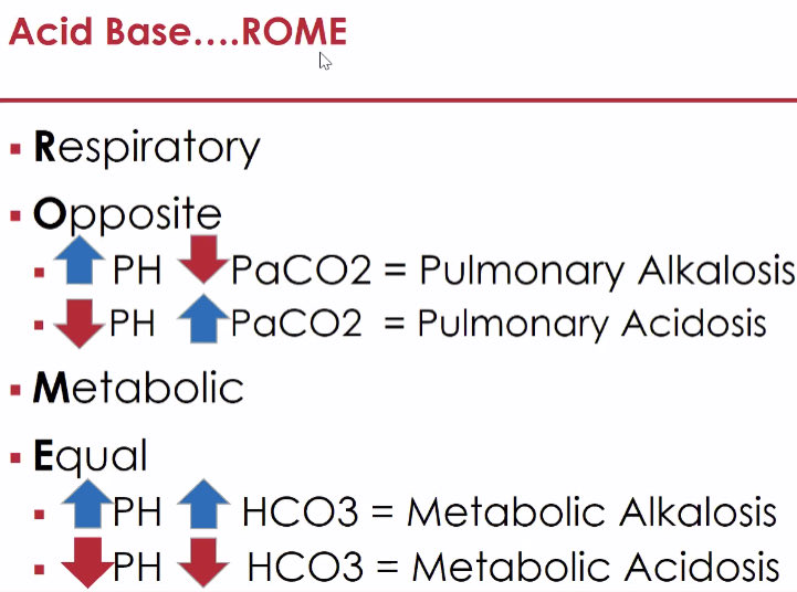 nami_md2025 (@draroro_) | Twitter