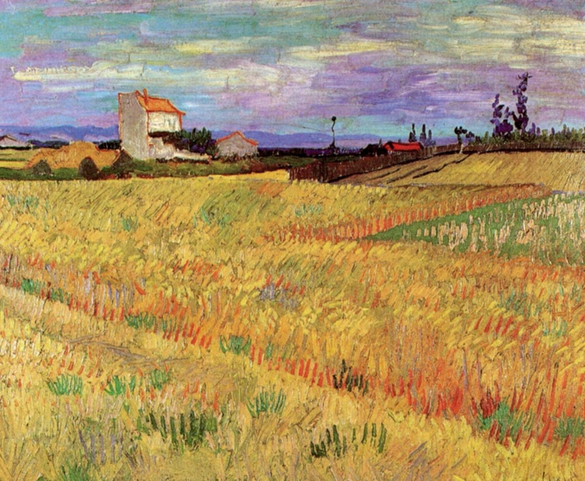 vangoghartist's tweet image. Wheat Field, 1888 #vangogh #postimpressionism