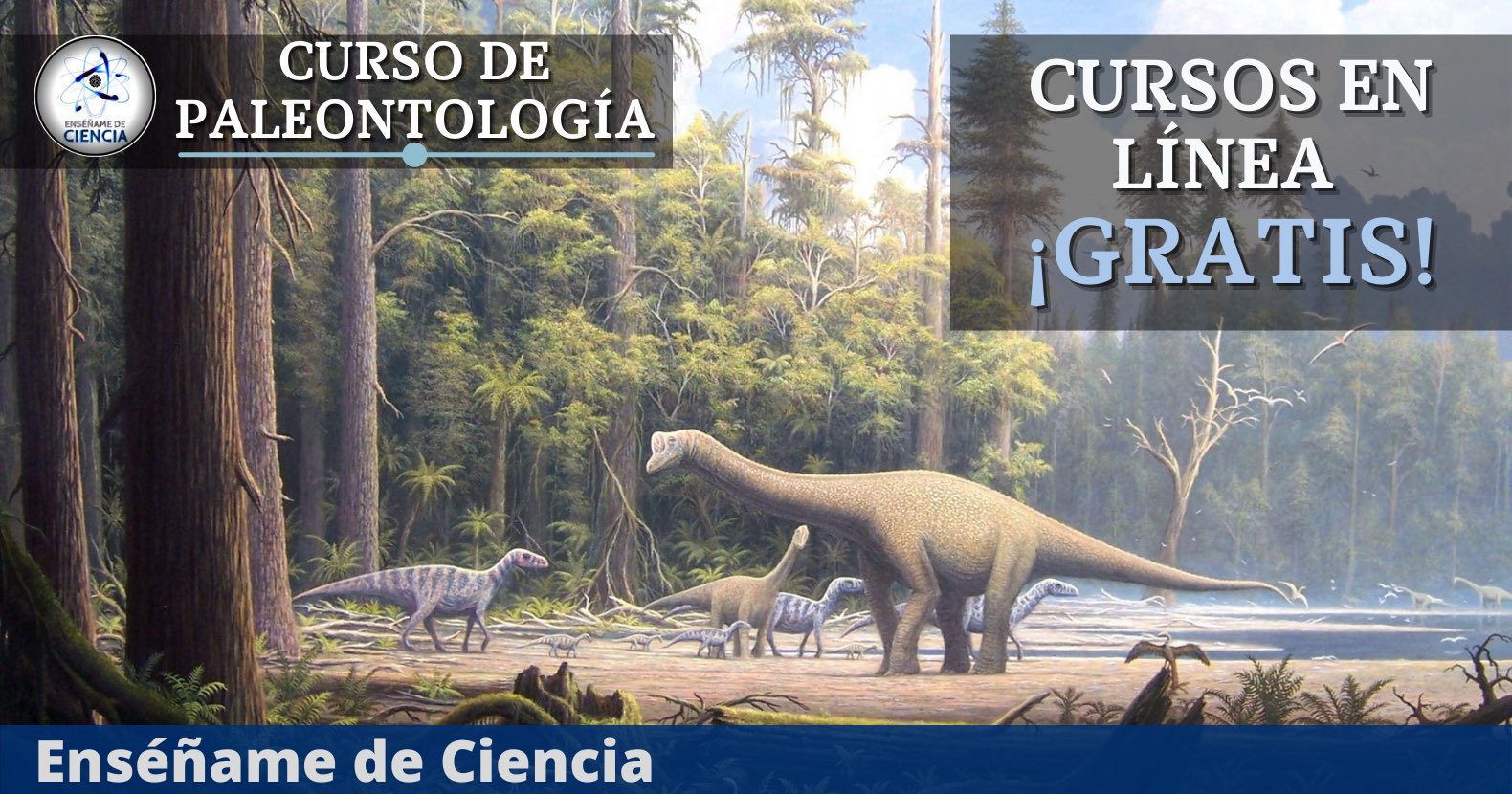 Enséñame de Ciencia on Twitter: Enséñame de Ciencia on Twitter: