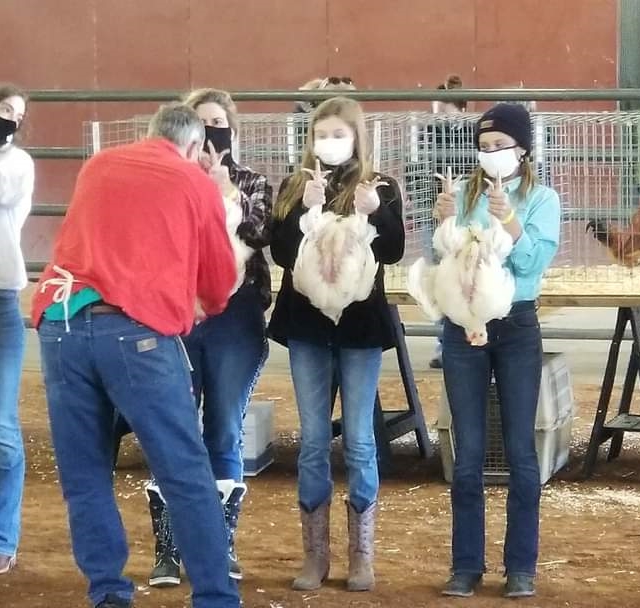Thank you <a href="/HEB/">H-E-B</a> for supporting me and my FFA and 4-H projects at the Collin County Livestock Show!  #chickens #rabbits