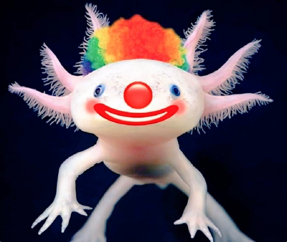 IntegrateP_AC's tweet image. Los ajolotes viendo que los mexicanos cuidan más un billete con un ajolote que a los mismos ajolotes.