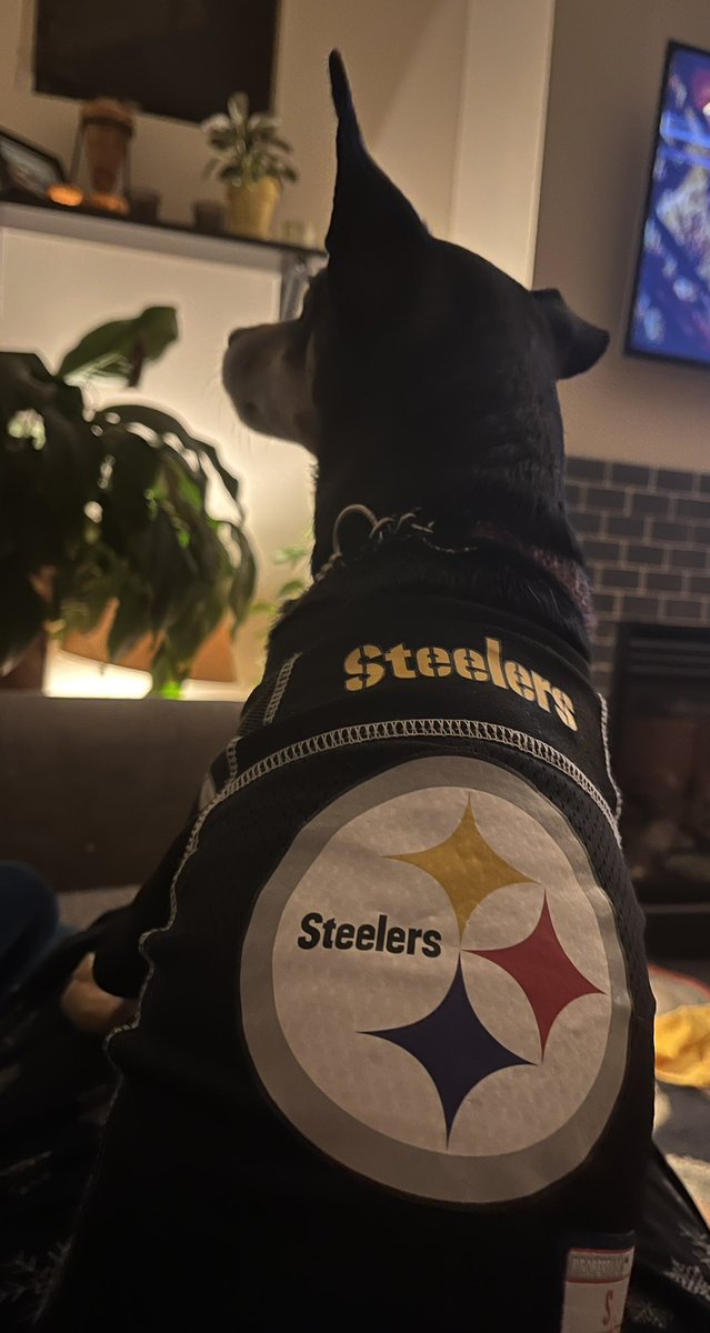 Megan Lawrence tweet media