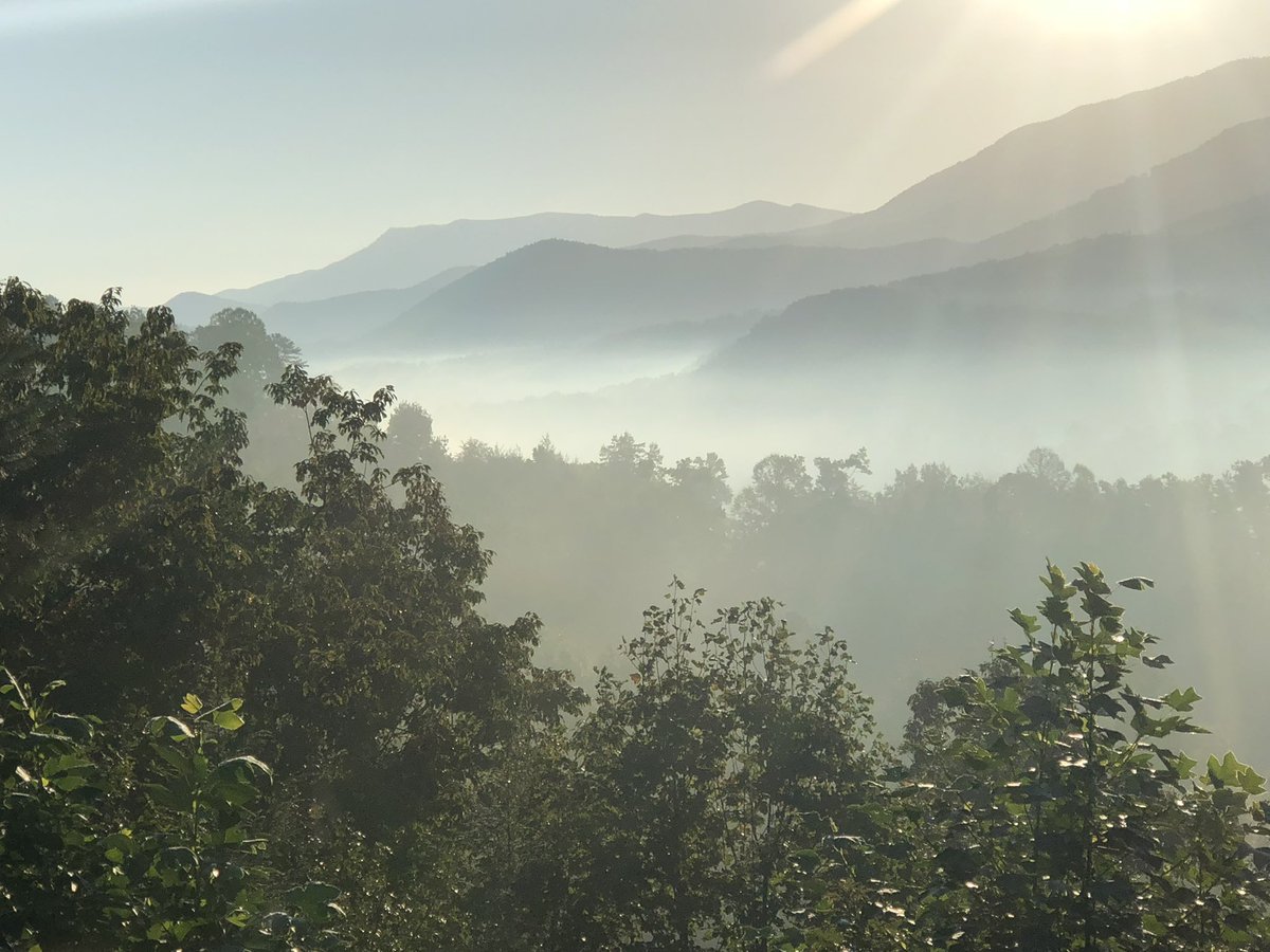 Aaron Patten tweet media