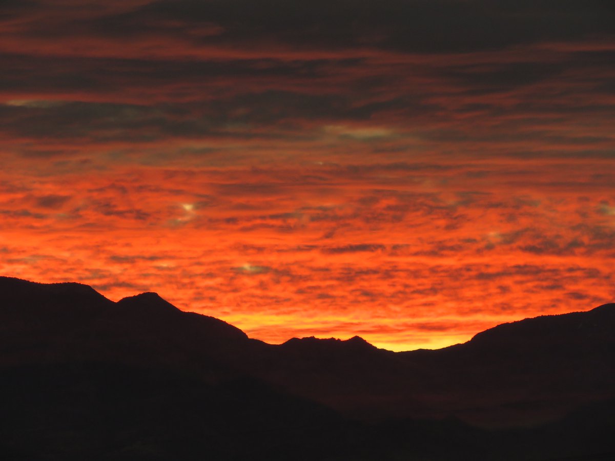 CrytzerFry's tweet photo. Good morning from the Sonoran Desert! #sunriseAZ https://t.co/lHG6ppQyJv
