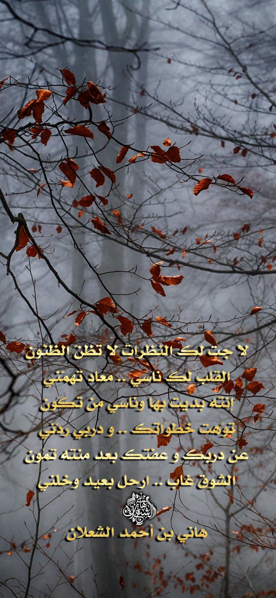لا جت لك النظرات لا تظنّ الظنُون
القلب لك ناسي .. معاد تهمّني
إنته بديت بها وناسي من تكُون
توّهت خطوَاتِك .. و دربِي ردّنِي
عن دربِك و عفتك بعد منته تمُون
الشوق غاب .. ارحل بعيد وخلّني

#بن_شعلان 
هاني بن أحمد الشعلان