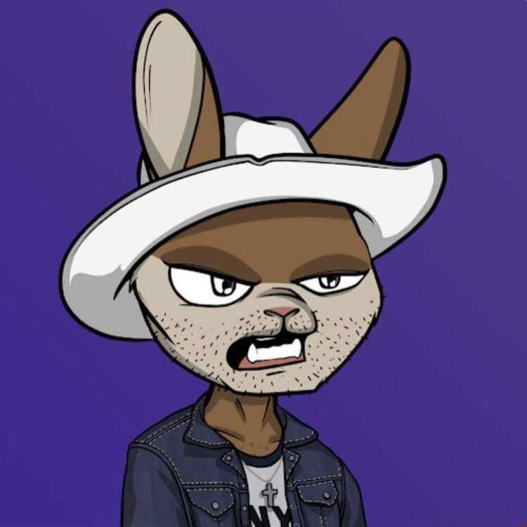 I joined the burrow thanks to @KieranMcShane5 and it looks like he’s led me down another rabbit hole. This time it wasn’t 10 beers deep at Barney’s! Glad to be apart of <a href="/MadRabbitsRC/">Mad Rabbits Riot Club 🥕</a> our next target is <a href="/JoeyB/">Joey Burrow</a>  #mrrc