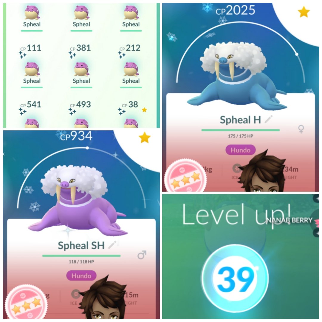 MysticalSyx's tweet photo. This Pokémon Com Day was good to me 45 shinys and 1 hundo and 1 shundo plus I leveled up to 39 with that 3xs xp and a few lucky eggs! Now for the grind to 40. How did you all do? #PokemonGOCommunityDay #SpealtheclapPokemon #Speal #ShinyPokemon #Hundo #Shundo #PokemonGoApp https://t.co/qHTK7ZRs7k