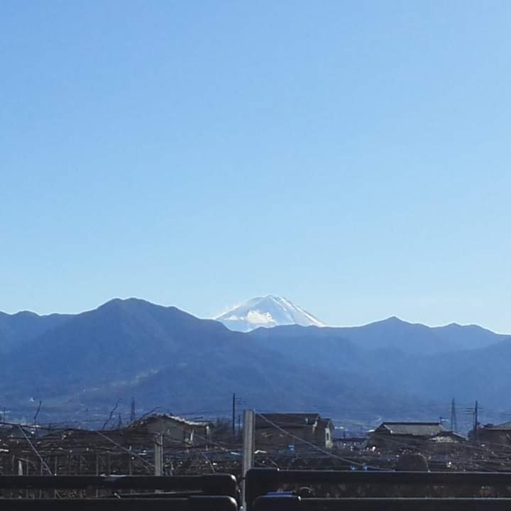 家に帰って来ました 異 状なしでした 山梨厚生病院からの 富士山🗻 看護師さんが撮影してくれました 焼き芋屋さんがいたので買ってきました 甘くて美味しいです