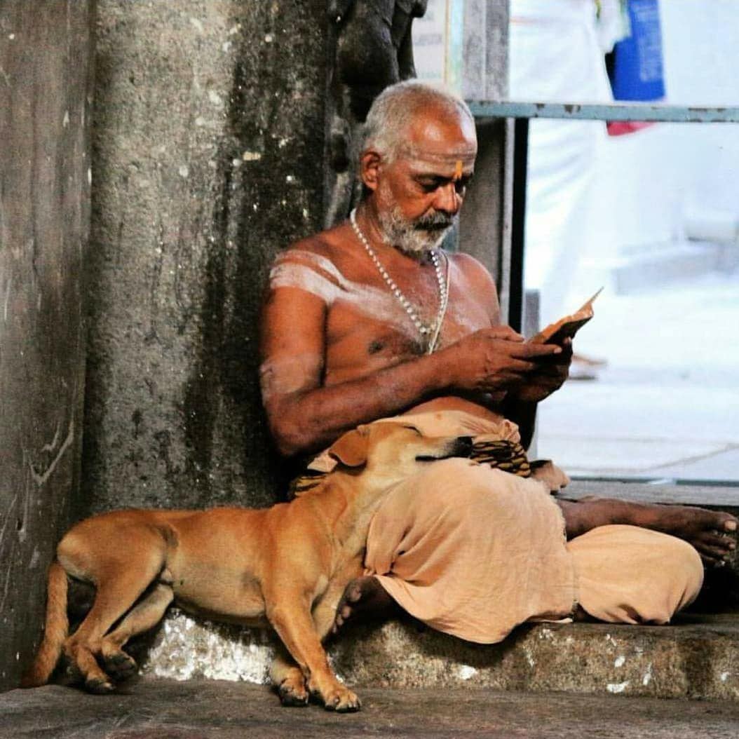LostTemple7's tweet photo. Compassion is at the heart of the Sanatan Dharm ❤️ https://t.co/9nfqSgfQhi