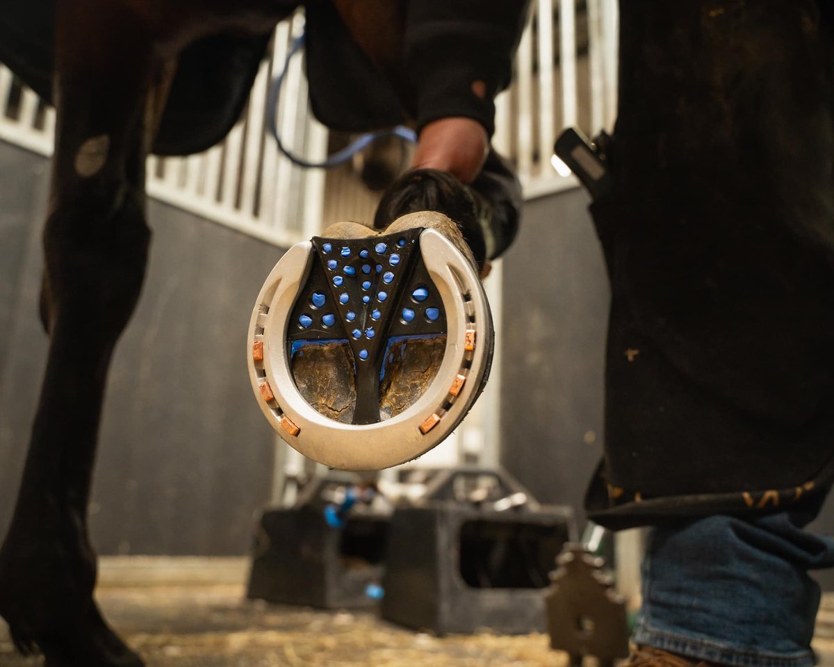 New Comfort Mix Hoof Cushion. Easy to mix, easy to cut, light weight , the ultimate in shock absorption.

#comfortmix #farrier #mustad #hoofcare #farriery