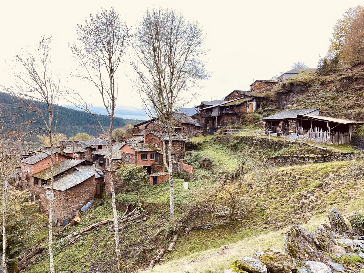 APobra's tweet photo. 👀 De interese para propietarios de edificios ou vivendas. 🏘 O 1 de febreiro abre o prazo de solicitude das subvencións da @Xunta para a rexeneración urbana e rural da ARI da #RibeiraSacra, da que forma parte A Pobra do Brollón.
🔗 https://t.co/7e5hMAQoTE
🖼 Parada dos Montes https://t.co/TjHzvCE7L7