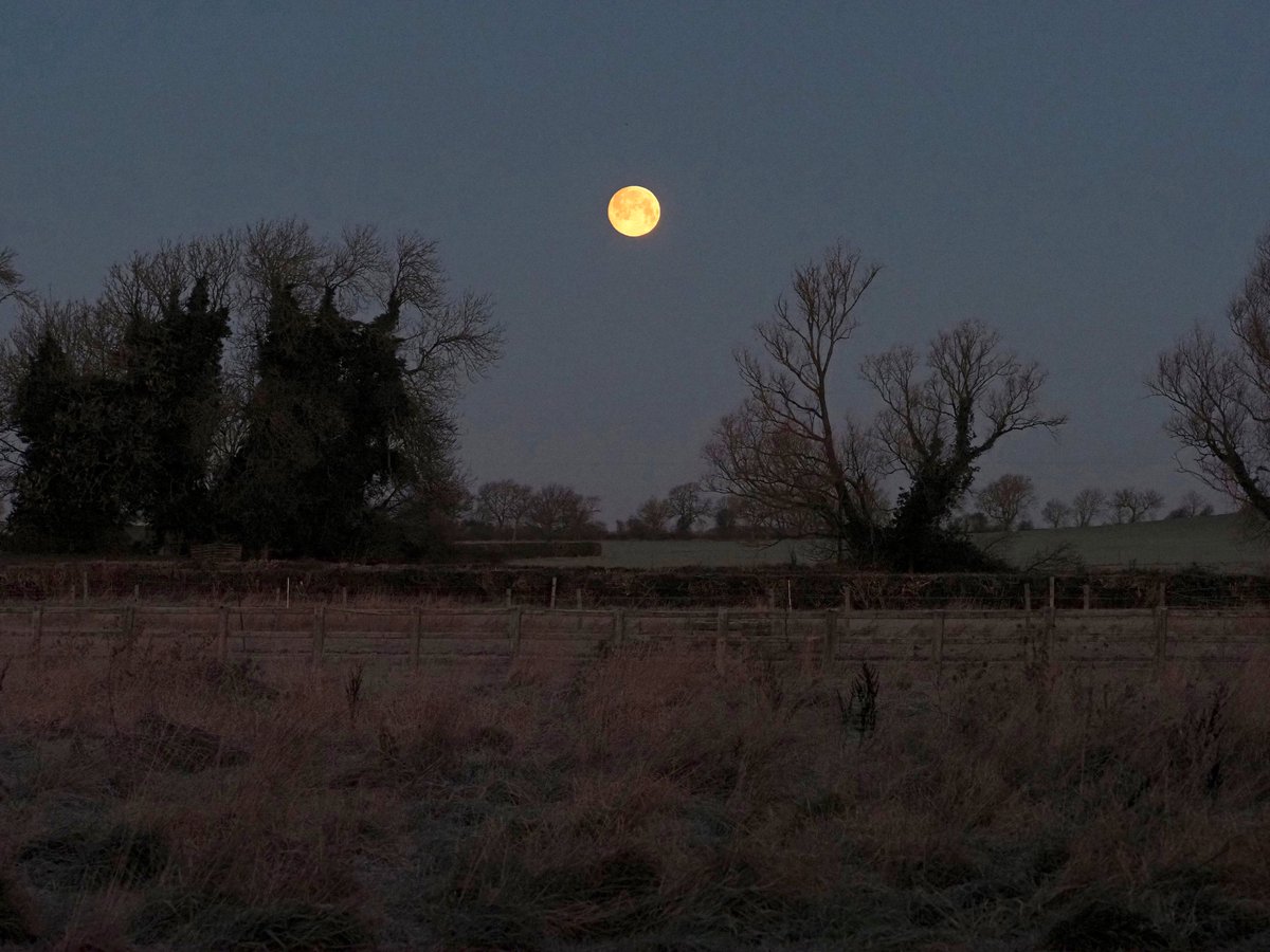 Julia Cox tweet media