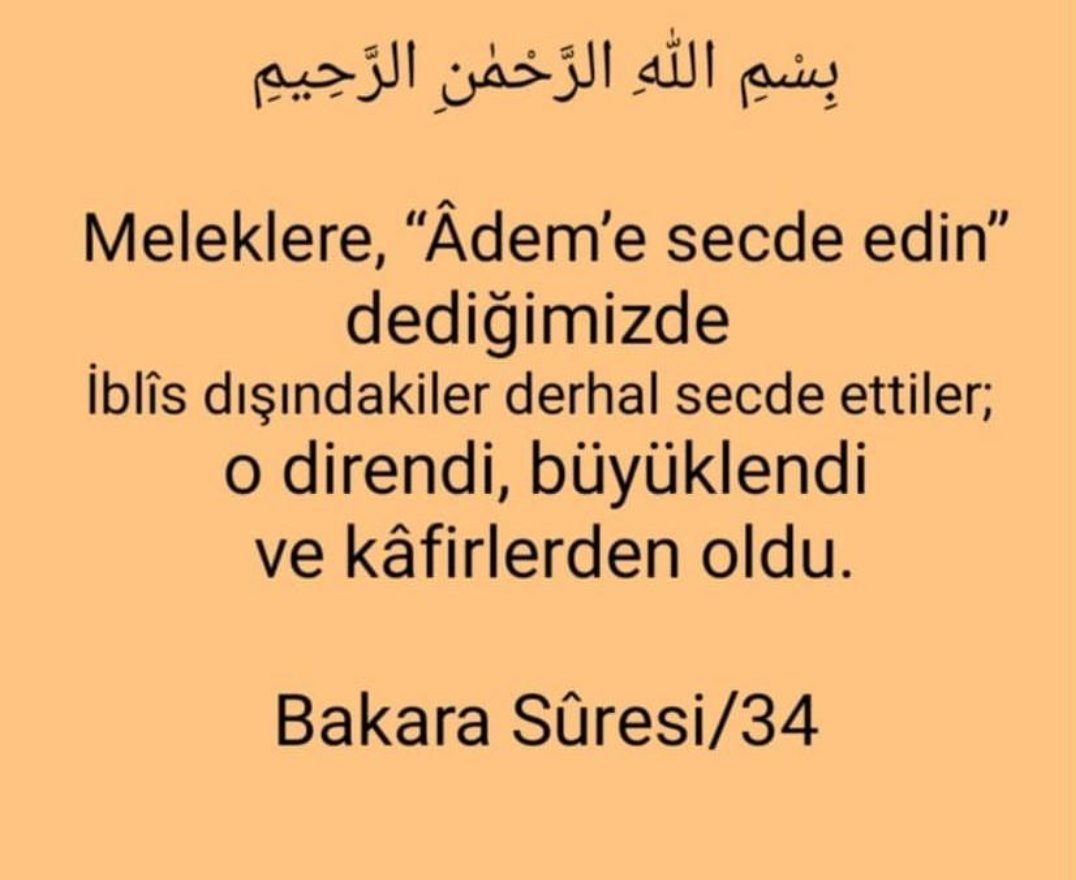 #sezenaksu #sezenaksukendinegel #sezenaksuhadinibil