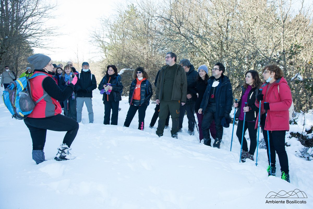 LAURENZANA Entusiasmo e grande partecipazione per la prima giornata d’ inverno de "I colori delle stagioni” L’Abetina di Laurenzana.
