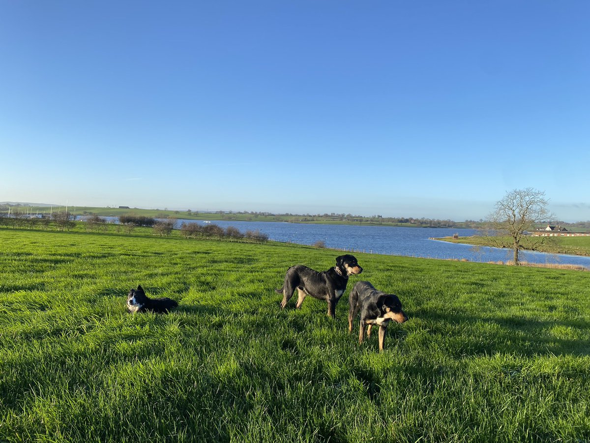 George Thompson tweet media