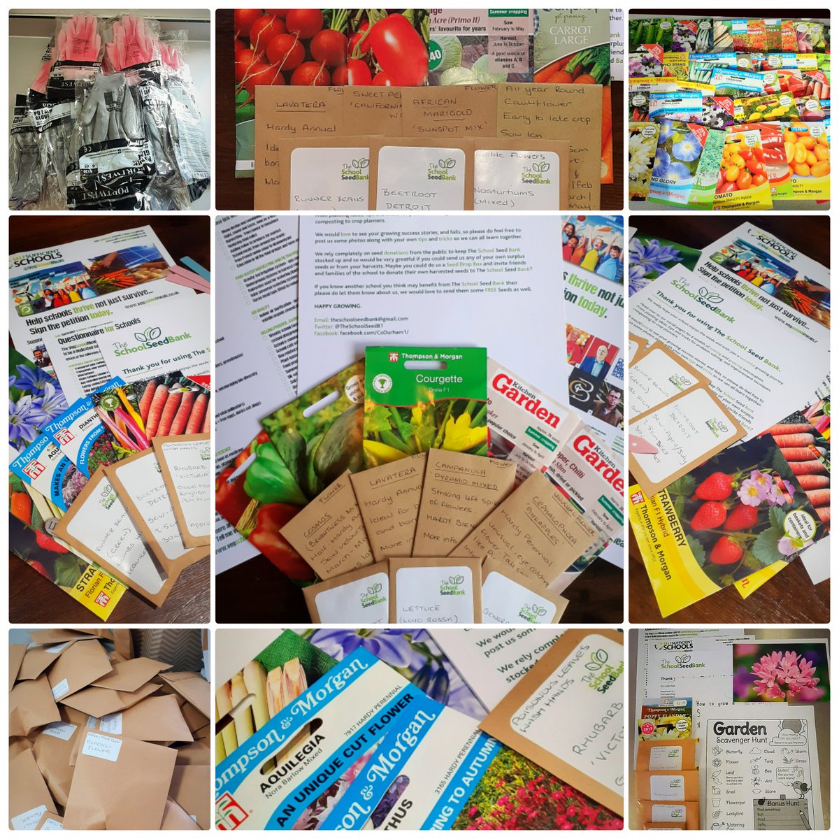 TheSchoolSeedB1's tweet photo. So...its with great excitement,and slight trepidation, that this year we are opening up The School Seed Bank to ALL UK Primary Schools and Nursery Units AND we are taking requests for 2022 packs NOW... 🌱💚🌷🌻😁 
#free #school #resources #uk #seeds #outdoor #learning https://t.co/sav1vGQX42