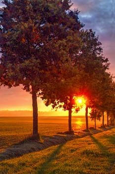 #BuenosDiasATodos  
Una nueva semana comienza, que tengáis un Día perfecto.
#FelizLunes corazones!!!
🧡💚