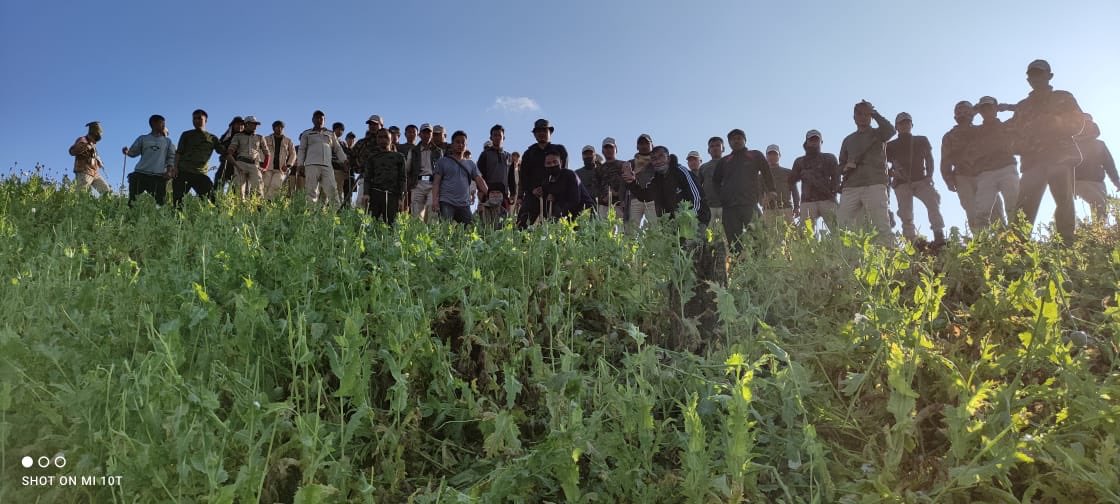 NBirenSingh's tweet photo. Zero tolerance for any illicit drugs related activities in Manipur

A combined team of Ukhrul Police, 6th MR &amp; NAB destroyed a poppy plantation of 70 acres at Thawai Kuki range. Under the War on drugs initiative, thousands of acres of poppy plantations have been destroyed so far. https://t.co/lsCRvde8Eu
