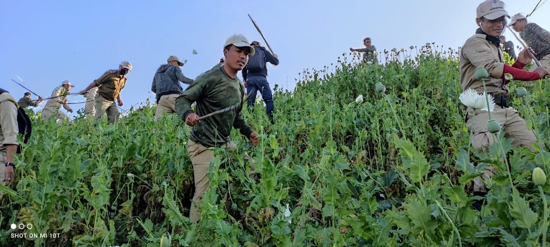 NBirenSingh's tweet photo. Zero tolerance for any illicit drugs related activities in Manipur

A combined team of Ukhrul Police, 6th MR &amp; NAB destroyed a poppy plantation of 70 acres at Thawai Kuki range. Under the War on drugs initiative, thousands of acres of poppy plantations have been destroyed so far. https://t.co/lsCRvde8Eu