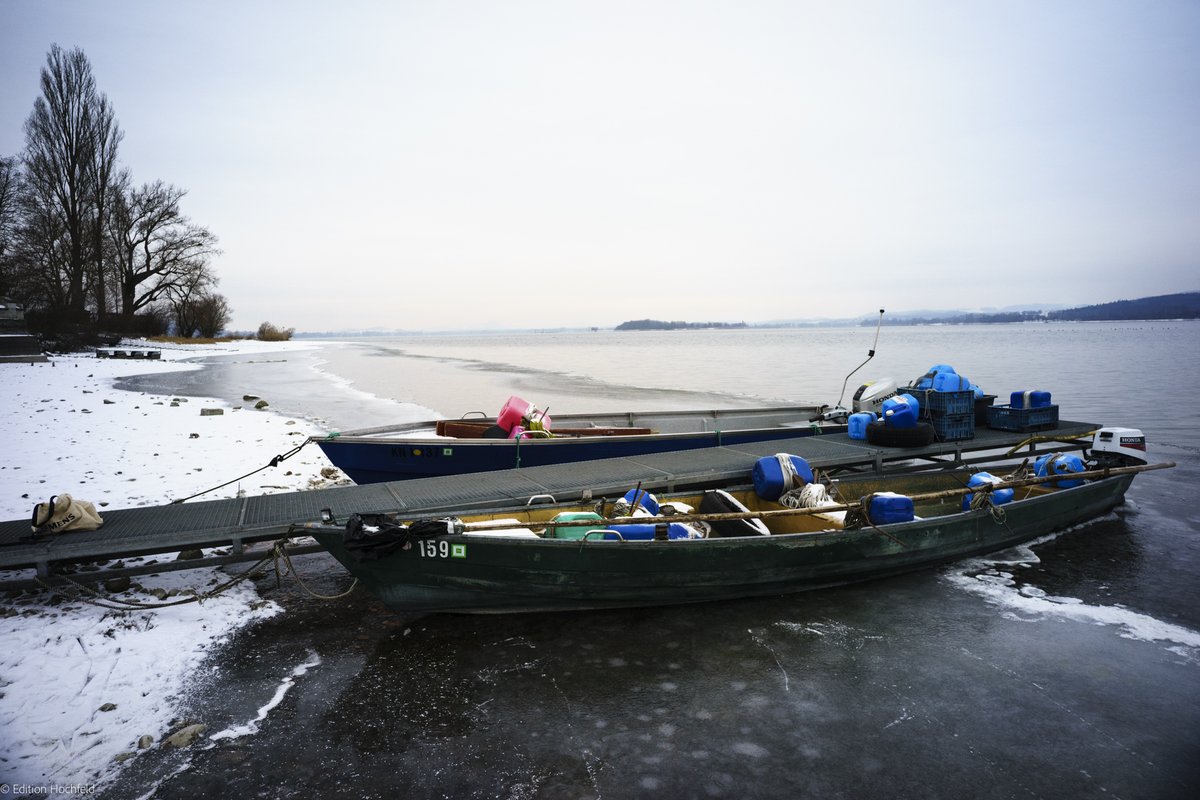 VHochfeld's tweet photo. Reichenau - Fischerboote und Blick zur Mettnau
#bodensee #winter #fischerboote https://t.co/FePQ230k2W