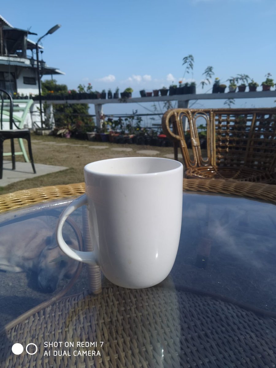 TeawithSusMita's tweet photo. My Monday morning view today...
Himalayas as the backdrop to my Darjeeling Tea. I am in hiding!
#travelphotography #travelstory #teawithsusmita #teatrail #travellife #solotravel #travelideas https://t.co/suzOzxL73w