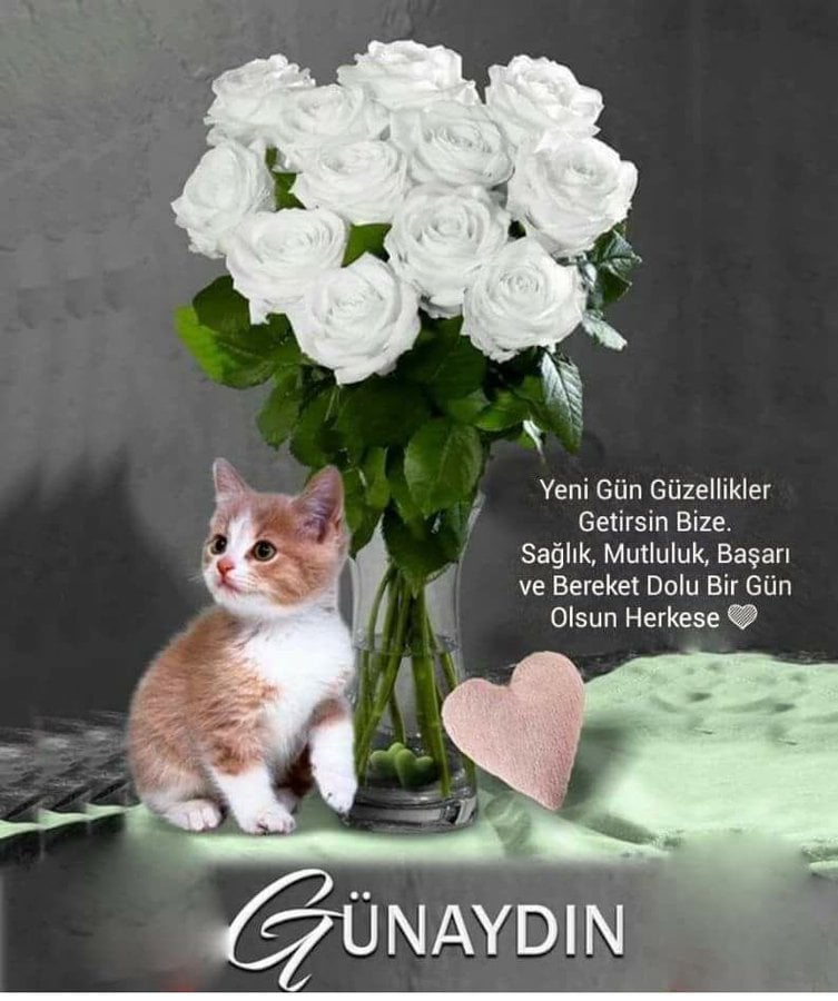 @Ceyhan95249560 @koczeynep123 @hakkisallier @__Ihtiyar @Aslican33 @62Fgn @muallayass @atam_iz_indeyim @AtaminKiziyim @GBocekoglu @TC_TOPRAK_ @turkcemile66 @sakineozkaya @leventakbas4 @osmannersoz @TC_BERFIN @SonMoohicann @Muzaffe99664861 @nesrinertass @pek20862298 @avukatbahatttin @MuallaYassibas @Hayatni68141391 @Ylmaz74041250 @AtakiziSeher @nurcan_rg @Selami46338035 @birhayalet_ @ZSoytan @ayseucar5 @Son_moohican @AdayEsat @Nevresteaslan16 @sonmarti1 @SaadetUysal18 @pektaspektas3 @kurtulus_elibol @_81_Bayraktar @YedekciC @taliptuncer1 @Berfinim_Deniz @Son_mohican_1 @SaadetUysall Selam saygılar  sevgiler dostlar🙏🍀☕️🌳🌲🌹💐