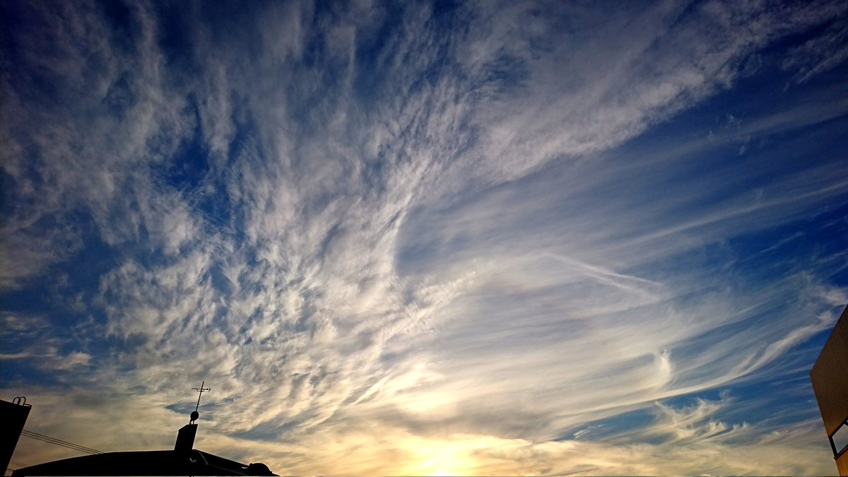 ラインハルト ハイドリヒ Ynkoxz3j5pdbkdw Twitter ラインハルト ハイドリヒ Ynkoxz3j5pdbkdw Twitter