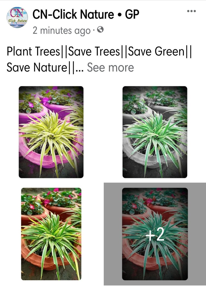 clicknature4u's tweet photo. Save Nature|Save Trees|Save Greem|Save Nature https://t.co/7ORJYaUCiY