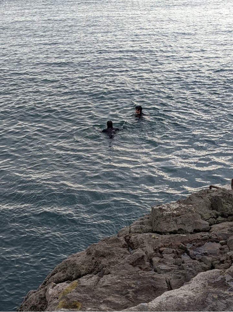 caitlinvcox's tweet photo. Had a wonderful wild swim in #plymouth just round from #Tinside
Was rather chilly, but nothing a wetsuit couldn’t handle! Feeling refreshed ready for my upcoming exam #wildswimming #devon https://t.co/1ALq4mJua3