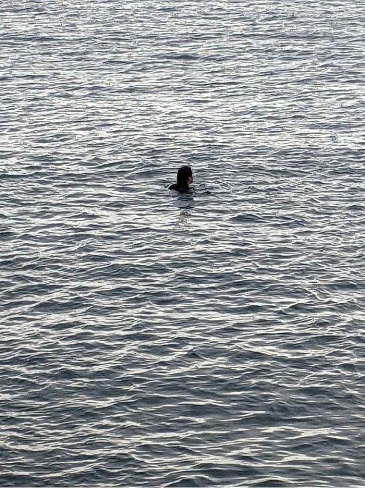 caitlinvcox's tweet photo. Had a wonderful wild swim in #plymouth just round from #Tinside
Was rather chilly, but nothing a wetsuit couldn’t handle! Feeling refreshed ready for my upcoming exam #wildswimming #devon https://t.co/1ALq4mJua3