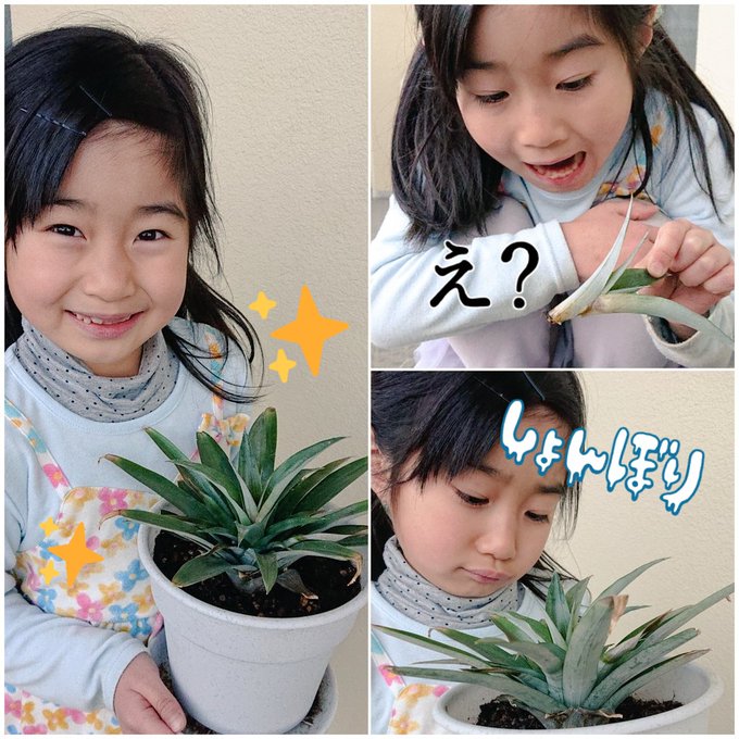 Twitterのコスプレ画像3