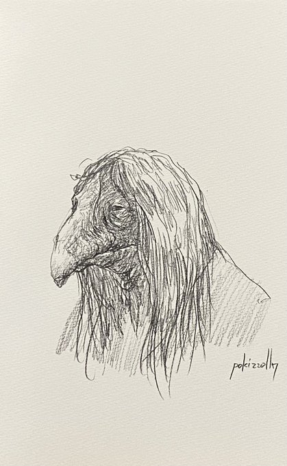 落書きスケッチ 