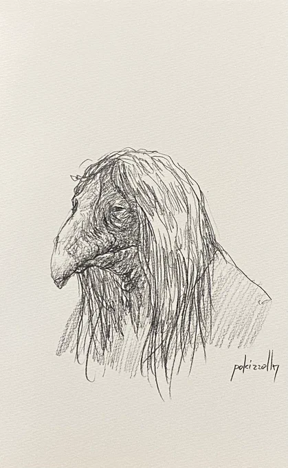 落書きスケッチ 