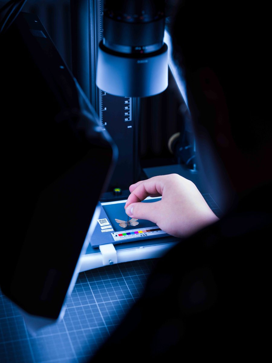 Come work with us at the Natural History Museum of Denmark! These key roles are part of DaSSCo – our ambitious programme to digitise every natural history specimen in Denmark
Technical Team Leader candidate.hr-manager.net/ApplicationIni…
Data Manager candidate.hr-manager.net/ApplicationIni…
#DaSSCo #Digitisation