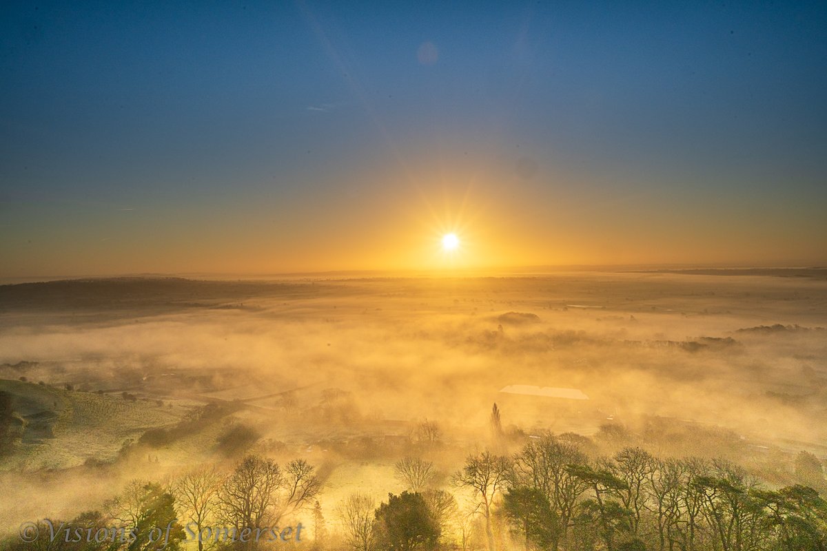 Michelle Cowbourne tweet media