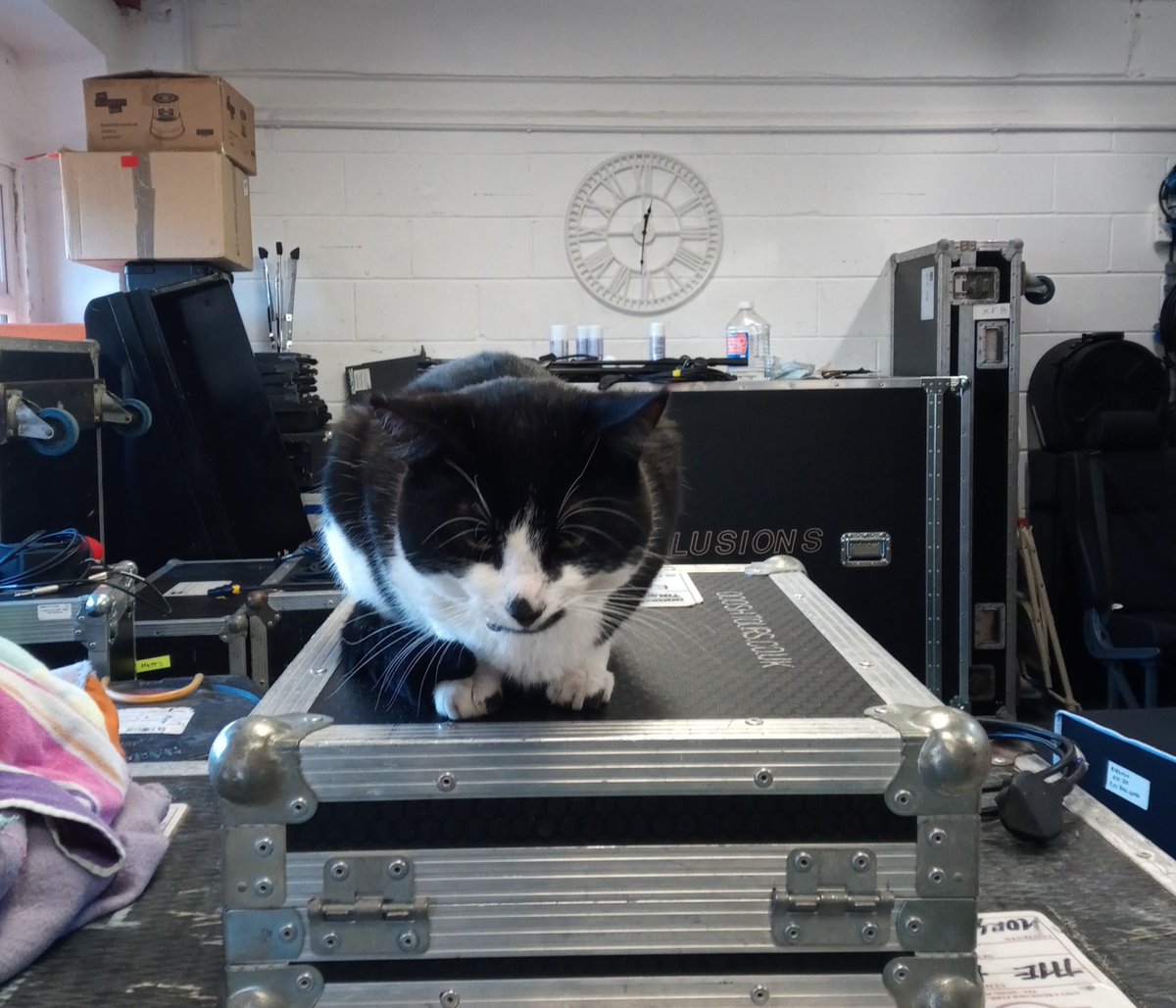 OooshTours's tweet photo. Just to clarify from Friday's post... no the cat is not now part of our hire stock.
I mean, it would be, but we just can't seem to get a barcode label on it.
.
#catsforhire #catsonflightcases #catonamps #catsondesks #catsonthings #oooshtours #studiocat #backlinehire #catsontour https://t.co/mj1j1njbY5
