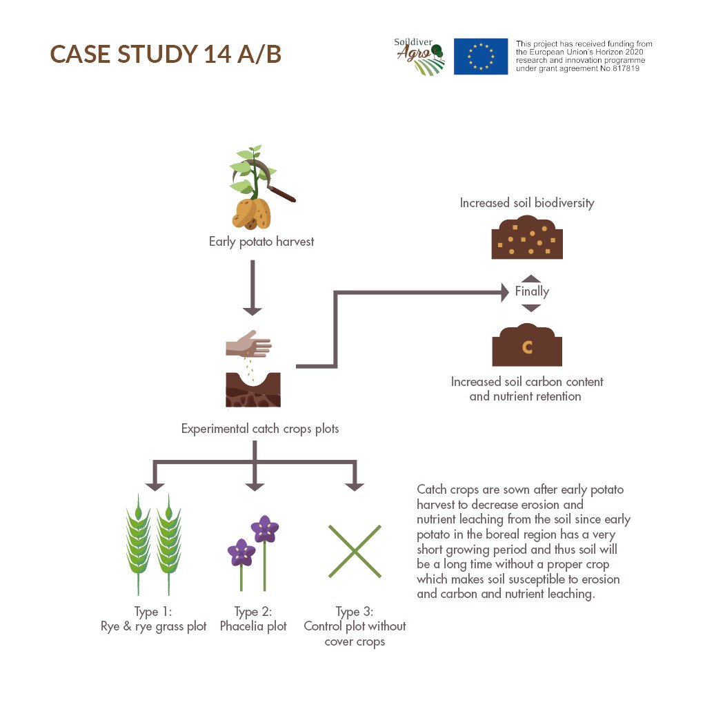 SoildiverAgro's tweet photo. πDo you want to know what we are doing in our different case studies? Take a look at the infographics we create for the #BorealRegion Case studies focused on #Tillsystem #NutrientCatchCrops and #ByProducts or download the complete booklet: https://t.co/pYeSAHddPI https://t.co/YtGh8Uwo51