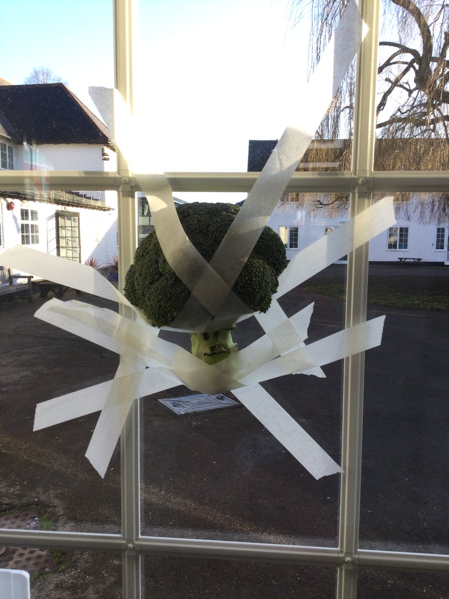 Superhero week has arrived at Nursery! The mischievous Joker has managed to capture the Superheroes and some rather unlucky vegetables. 
Fear not! The Nursery Superheroes are ready to complete some challenges and save the heroes from their impending doom!